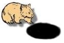 Wombat plus hole